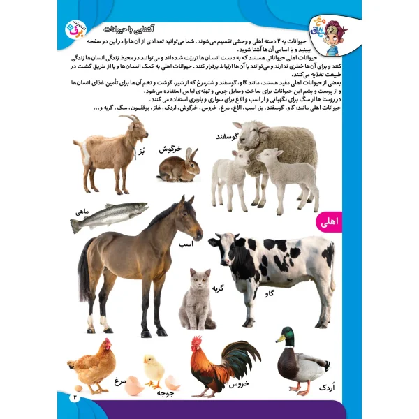 كتاب كار مغز خلاق 10 - می بينم، ياد می گيرم - مفاهیم 1
